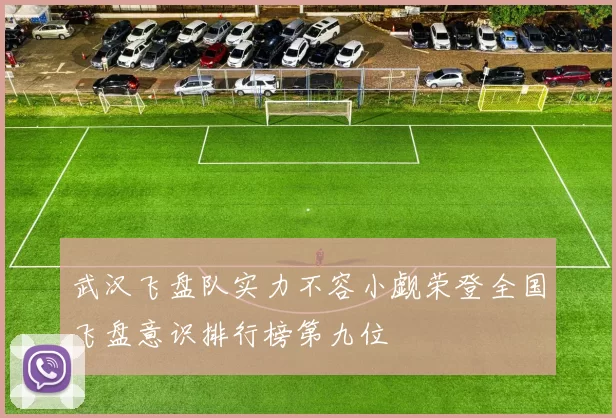 武汉飞盘队实力不容小觑荣登全国飞盘意识排行榜第九位