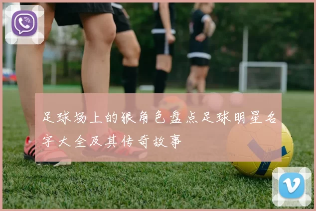 足球场上的狠角色盘点足球明星名字大全及其传奇故事