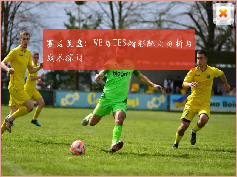 赛后复盘：WE与TES精彩配合分析与战术探讨