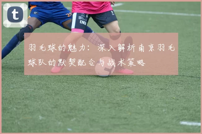 羽毛球的魅力：深入解析南京羽毛球队的默契配合与战术策略