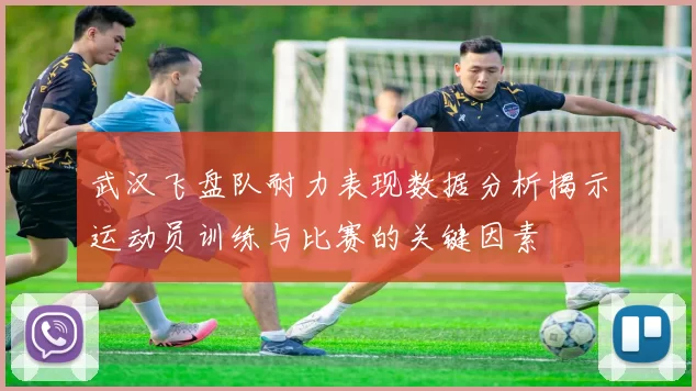 武汉飞盘队耐力表现数据分析揭示运动员训练与比赛的关键因素