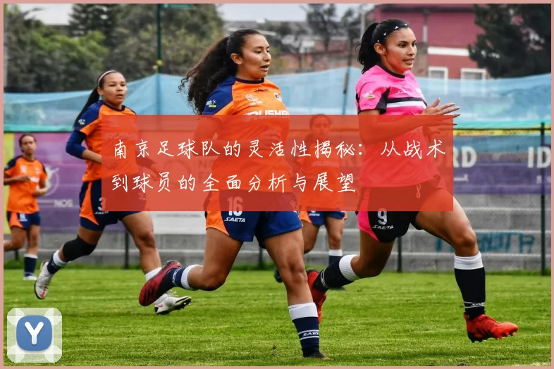 南京足球队的灵活性揭秘：从战术到球员的全面分析与展望