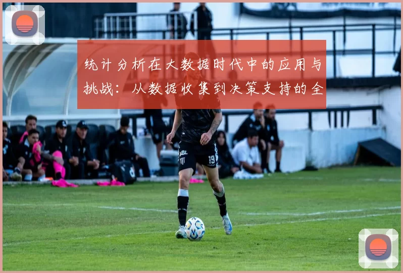 统计分析在大数据时代中的应用与挑战：从数据收集到决策支持的全方位探索