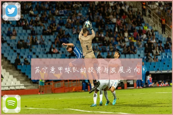 苏宁意甲球队的投资与发展方向