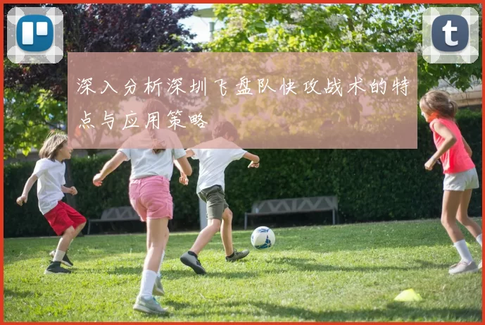 深入分析深圳飞盘队快攻战术的特点与应用策略