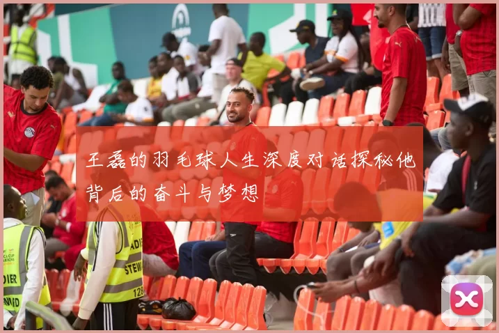 王磊的羽毛球人生深度对话探秘他背后的奋斗与梦想