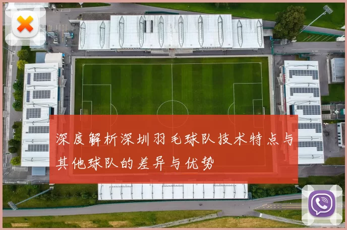深度解析深圳羽毛球队技术特点与其他球队的差异与优势
