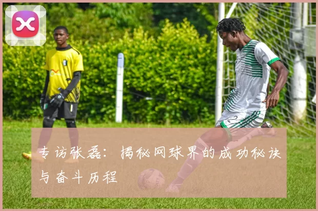 专访张磊：揭秘网球界的成功秘诀与奋斗历程