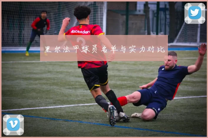 里尔法甲球员名单与实力对比