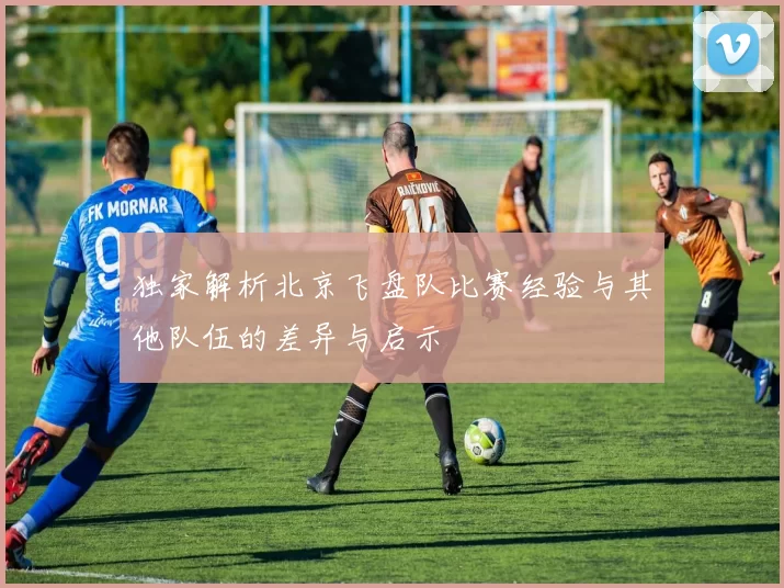 独家解析北京飞盘队比赛经验与其他队伍的差异与启示